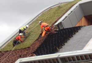 Installation of the Erosaweb Geocell on the Alder Hey Hospital Green Roof Project